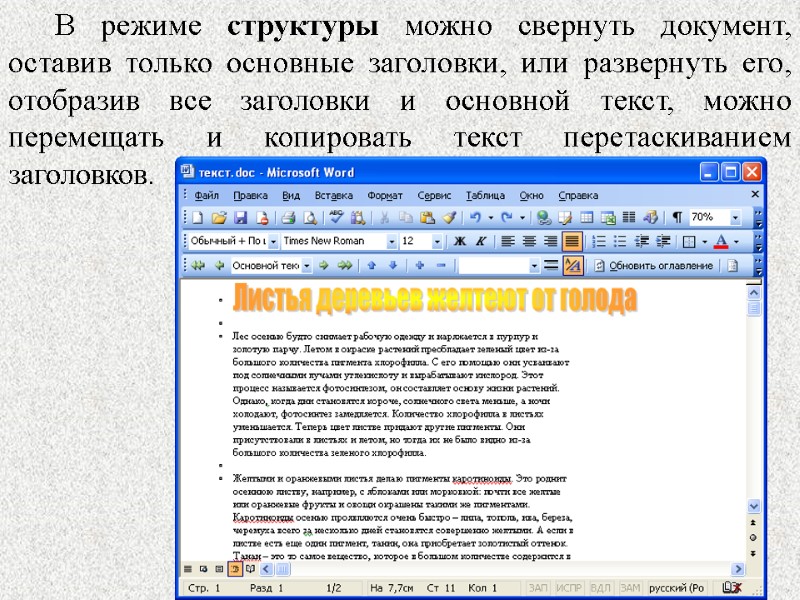 45 45 В режиме структуры можно свернуть документ, оставив только основные заголовки, или развернуть
